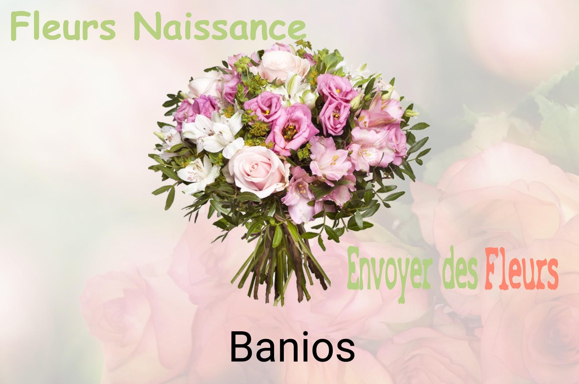 Bouquet de fleurs de naissance livré à Banios